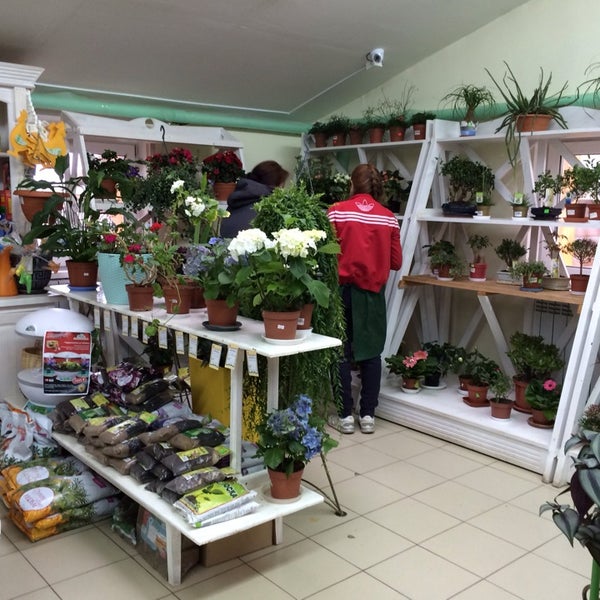 Купить Магазин Цветов В Красноярске