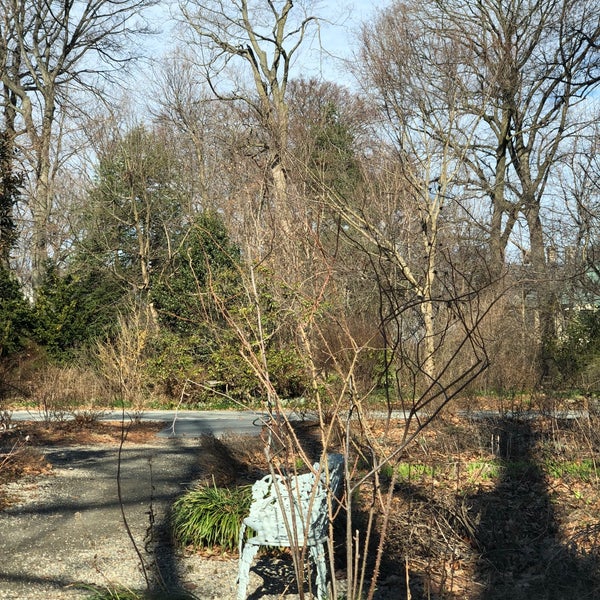 3/6/2018にAdam R.がAwbury Arboretumで撮った写真