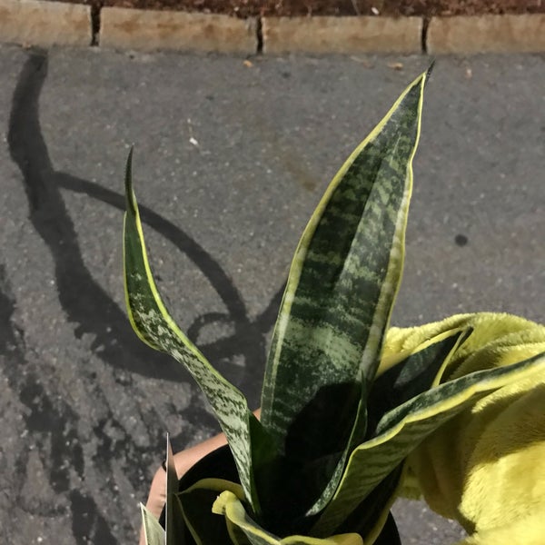 The Home Depot South Portland, ME