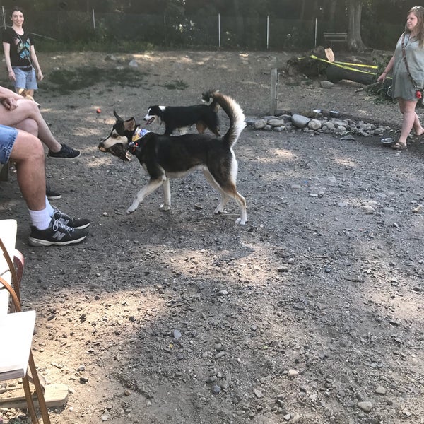 Valley Street Dog Park Dog Park in Portland