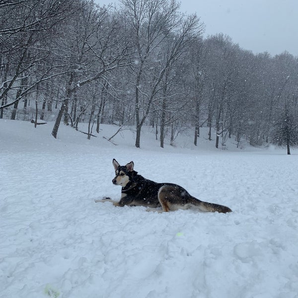 Valley Street Dog Park Dog Park in Portland