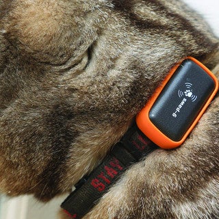 G-Paws Pet Tracker! All pet lovers should check this nifty Pet Tracker device!