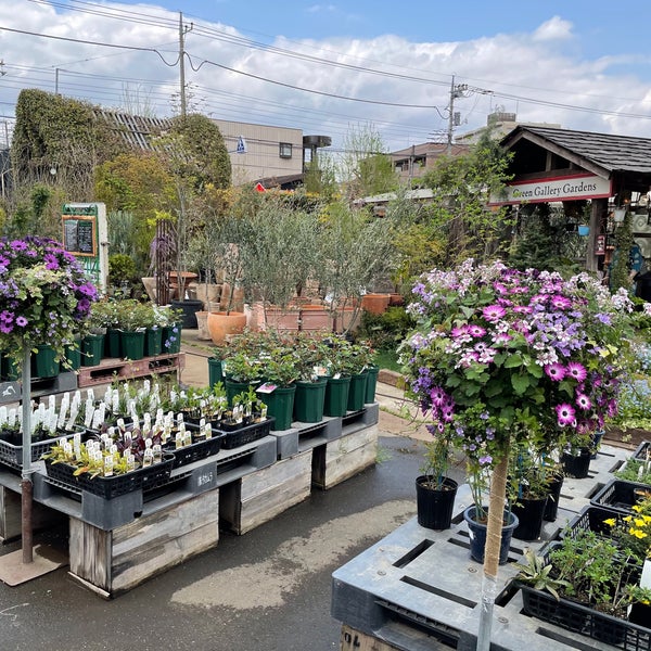 Green Gallery Gardens 145 Visitors