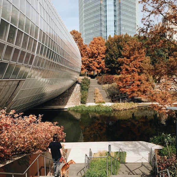 11/10/2019にDeepseab .がMyriad Botanical Gardensで撮った写真
