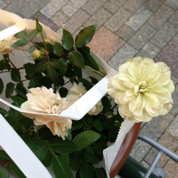 フローリストショップ プーゼ 寺町二条本店 Fleuriste Magasin Pousse Teramachi Nijo Now Closed 京都市 京都府 フローリストショップ プーゼ 寺町二条本店 Fleuriste Magasin Pousse Teramachi Nijo Now Closed 京都市 京都府