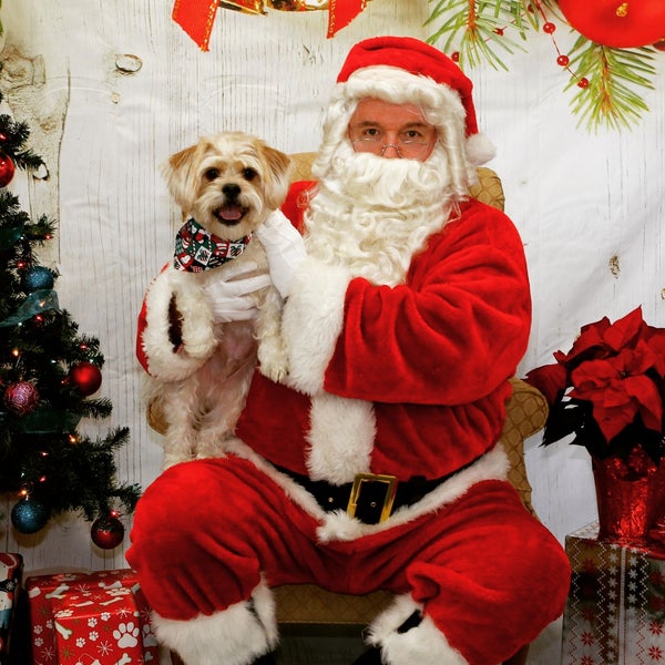 Poe's Pet Depot Pet Supplies Store in Louisville