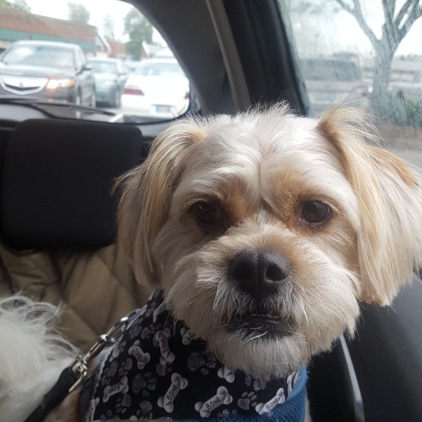 Poe's Pet Depot Pet Supplies Store in Louisville