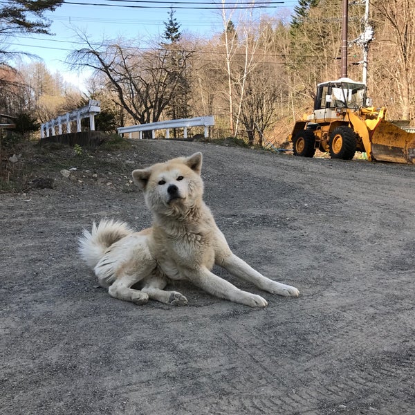 Fotos En オソウシ温泉 鹿乃湯荘 新得町 北海道 Fotos En オソウシ温泉 鹿乃湯荘 新得町 北海道