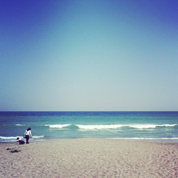 和田浦海岸 Beach In 南房総市