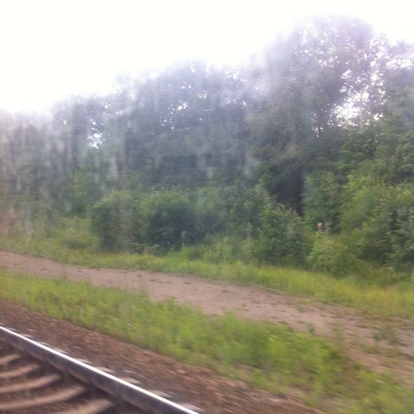 Снимок сделан в Лес пользователем Anastasiya M. 6/26/2014