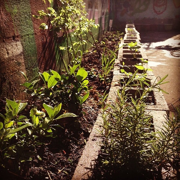 Queens Library at Woodside 7 tips