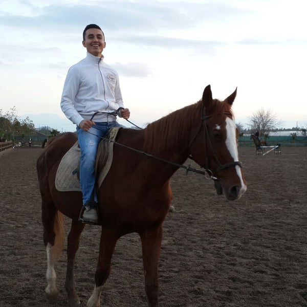 12/21/2014にMamiがAntalya Horse Clubで撮った写真