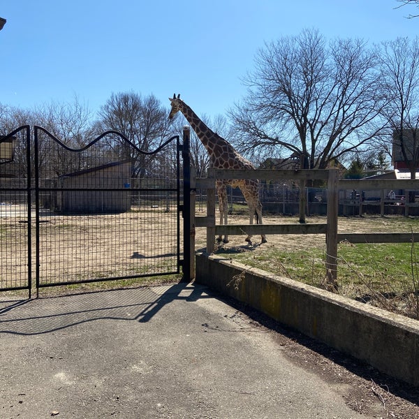 Photo taken at Henry Vilas Zoo by Lacey S. on 3/31/2021