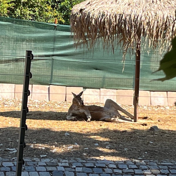 Photo taken at Sofia Zoo by Bojidar K. on 7/17/2022