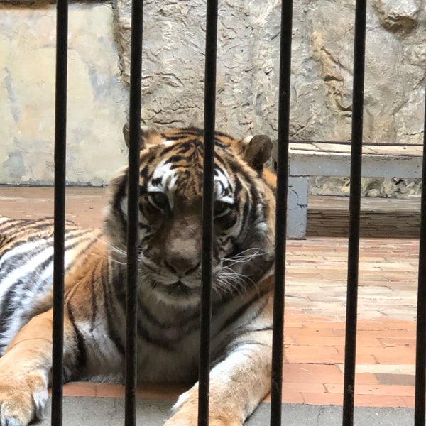 Photo taken at Sofia Zoo by Eliz Y. on 2/22/2019
