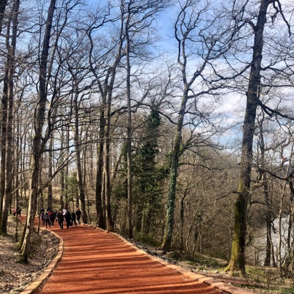Foto tirada no(a) Belgrad Ormanı por Cansu Y. em 3/3/2019