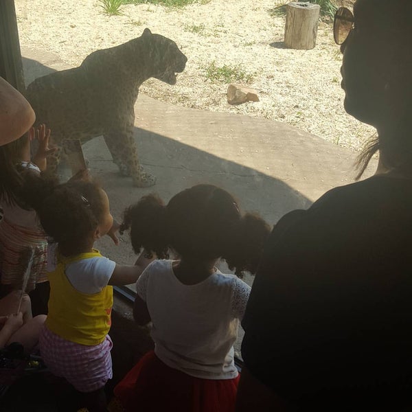 turtle back zoo cafe West Orange, NJ