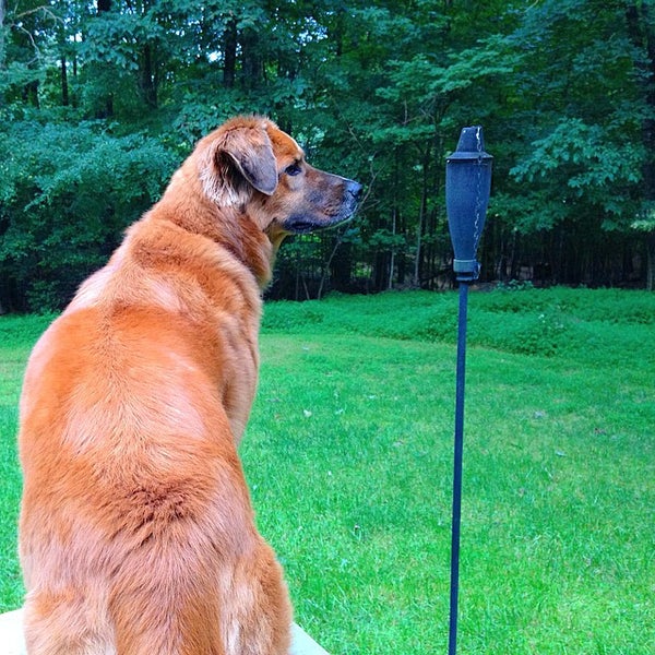 Strickland Road Neighborhood Park Northwest Raleigh Raleigh, NC