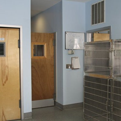 6/25/2014にOliver&#39;s Dog &amp; Cat ClinicがOliver&#39;s Dog &amp; Cat Clinicで撮った写真