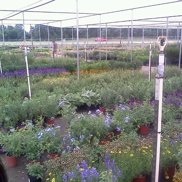 Southwest Whole Nursery Southwest Whole Nursery