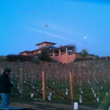 2/12/2012 tarihinde Vanessa L.ziyaretçi tarafından Wise Villa Winery'de çekilen fotoğraf