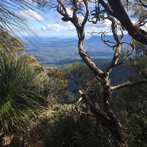 Mount Warning 3 tips