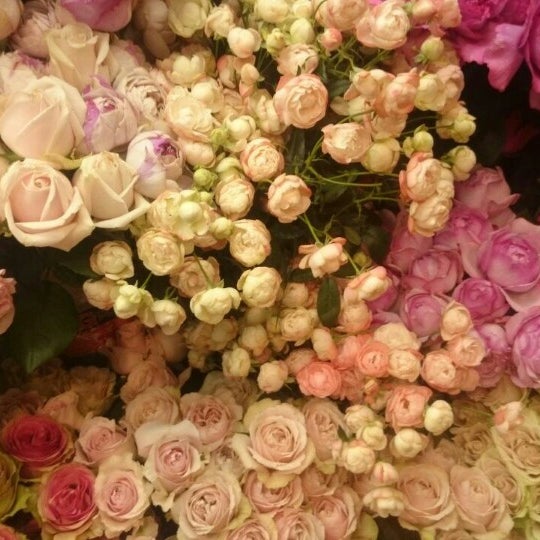 フローリストショップ プーゼ 寺町二条本店 Fleuriste Magasin Pousse Teramachi Nijo Now Closed 京都市 京都府 フローリストショップ プーゼ 寺町二条本店 Fleuriste Magasin Pousse Teramachi Nijo Now Closed 京都市 京都府