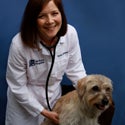 6/26/2014에 VCA All Pets Hospital님이 VCA All Pets Hospital에서 찍은 사진