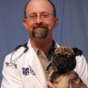 6/26/2014에 VCA All Pets Hospital님이 VCA All Pets Hospital에서 찍은 사진