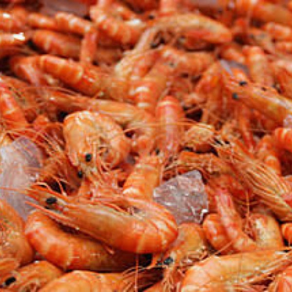 Seafood Market Caloundra Caloundra, QLD