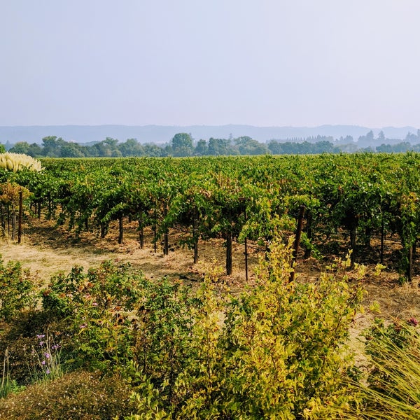 รูปภาพถ่ายที่ Quivira Vineyards and Winery โดย Steep B. เมื่อ 9/4/2017