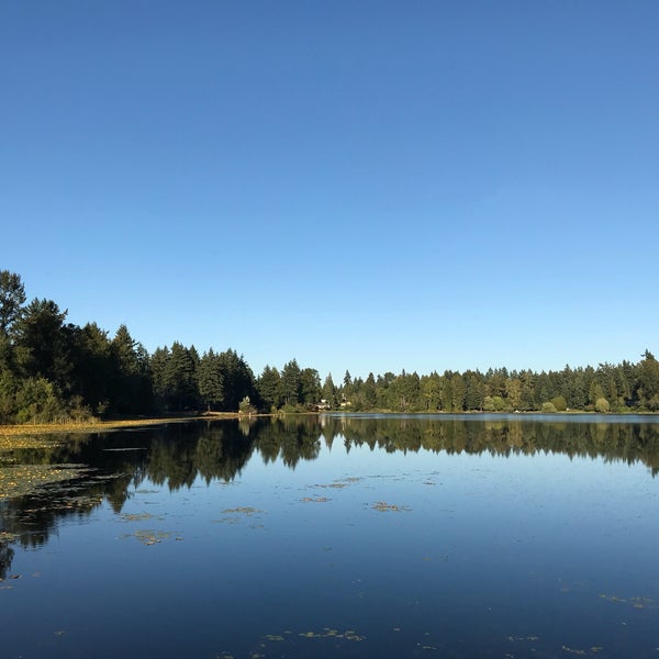 Фантом озера. Озеро фантомов. Фантом озера. Фантом озера о чём?. Лучшие мистические произведения классиков.