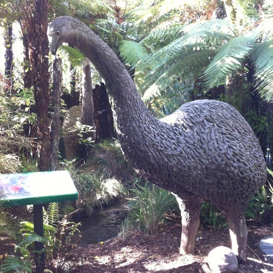 Photo taken at Rainbow Springs Kiwi Wildlife Park by Adrian H. on 10/11/2012