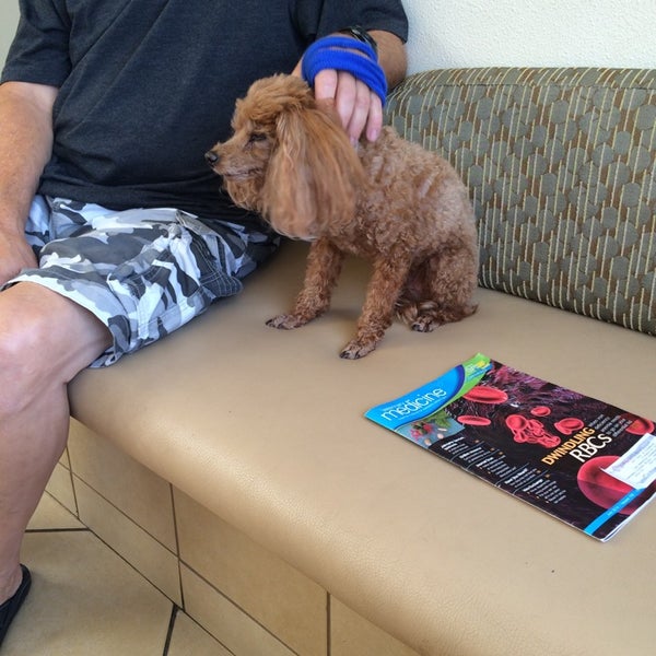 VCA Sacramento Veterinary Referral Center Veterinarian in Sacramento