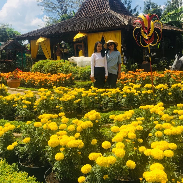 Taman Bunga Begonia Bahçe