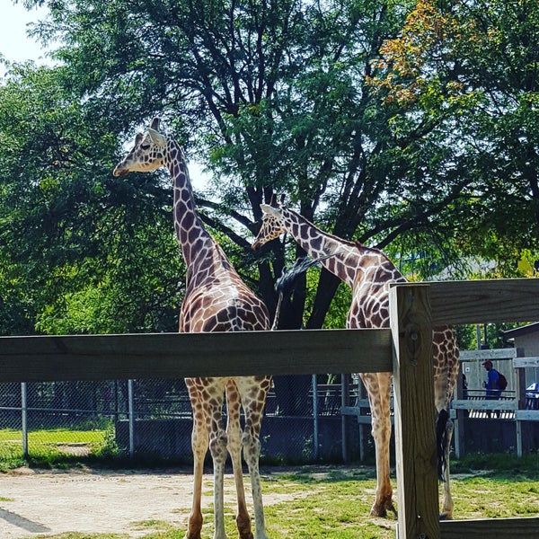 Foto diambil di Henry Vilas Zoo oleh Pamela Z. pada 9/3/2017