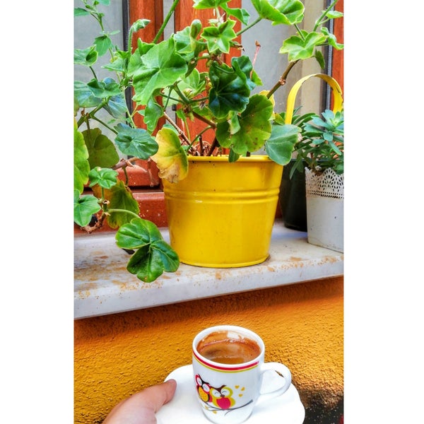 Photo taken at Baykuş Coffee Shop by Simay S. on 9/20/2018