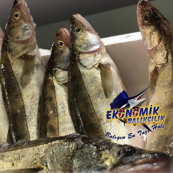 Foto scattata a Ekonomik Balık Restaurant Avanos da Ekonomik Balık Restaurant Avanos il 11/17/2018