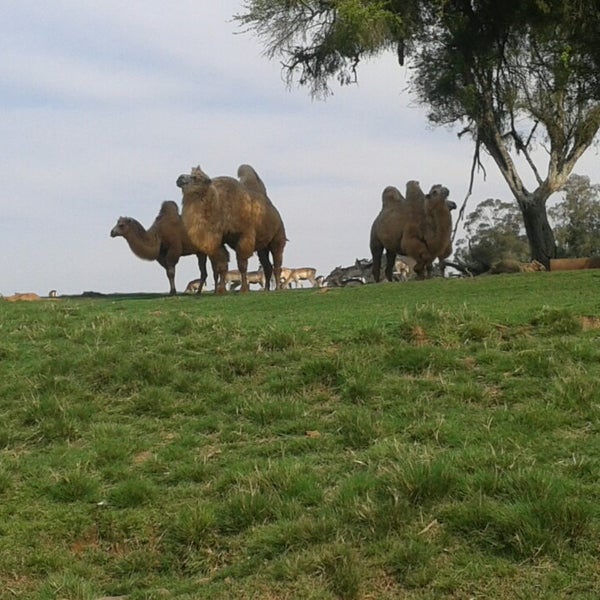 รูปภาพถ่ายที่ Pampas Safari โดย Raimon C. เมื่อ 9/14/2014