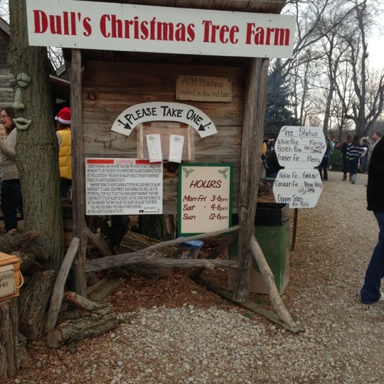 Tree farm перевод