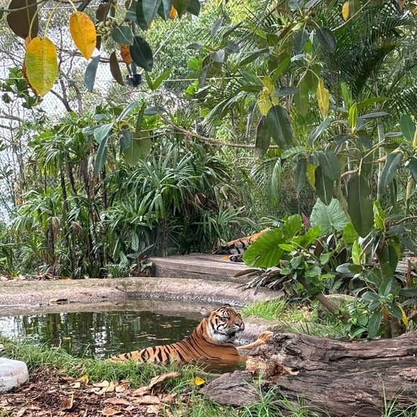 Das Foto wurde bei Taronga Zoo von Bori_bab am 12/19/2023 aufgenommen