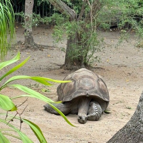 Photo taken at Taronga Zoo by Bori_bab on 12/19/2023