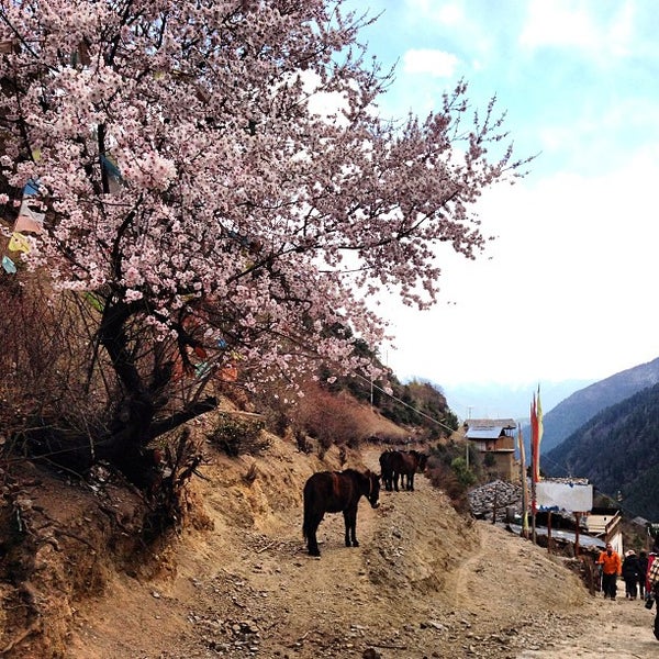 Fotos Bei 雨崩村 Deqen Kreis 云南 Fotos Bei 雨崩村 Deqen Kreis 云南