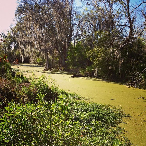 PointeAuxChenes, LA 1 tip from 36 visitors