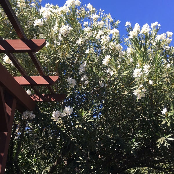 River's Edge Kayak & Canoe Trips Water Park