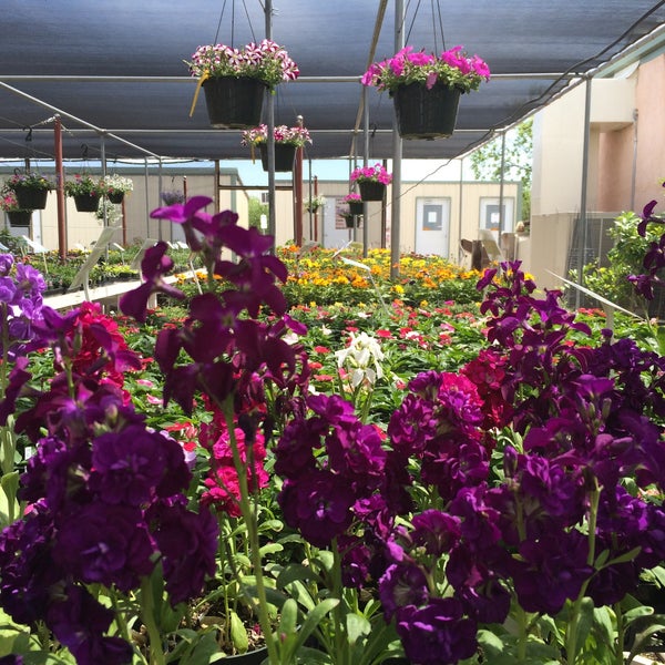 Sierra Vista Growers Garden Center
