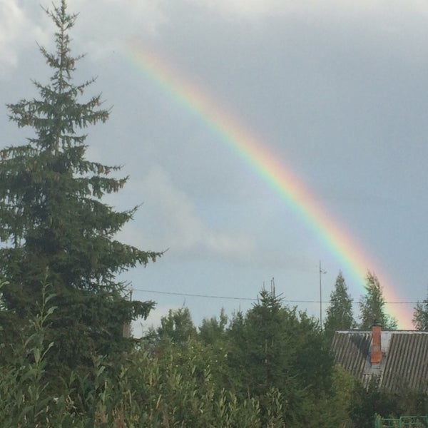 Химик 1 снт воскресенск снт. Трубников бор садоводство химик. Купить дачу куйбышев новосибирская область. Дети химики. Фотосессия химики детская.