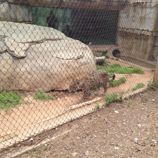 รูปภาพถ่ายที่ Cameron Park Zoo โดย Charles H. เมื่อ 4/13/2013