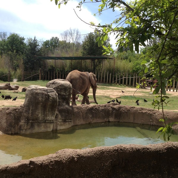 Foto scattata a Cameron Park Zoo da Charles H. il 4/13/2013