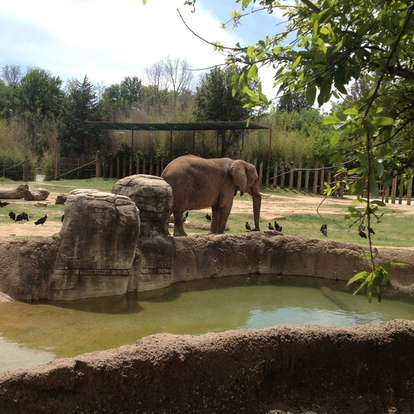 รูปภาพถ่ายที่ Cameron Park Zoo โดย Charles H. เมื่อ 4/13/2013